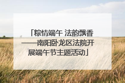 粽情端午 法韵飘香——南阳卧龙区法院开展端午节主题活动