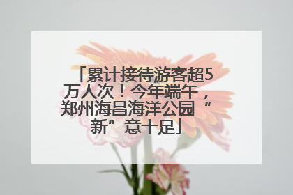 累计接待游客超5万人次！今年端午，郑州海昌海洋公园“新”意十足