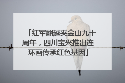 红军翻越夹金山九十周年，四川宝兴推出连环画传承红色基因