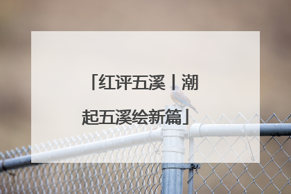 红评五溪丨潮起五溪绘新篇