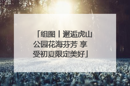 组图丨邂逅虎山公园花海芬芳 享受初夏限定美好