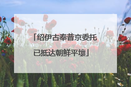 绍伊古奉普京委托已抵达朝鲜平壤