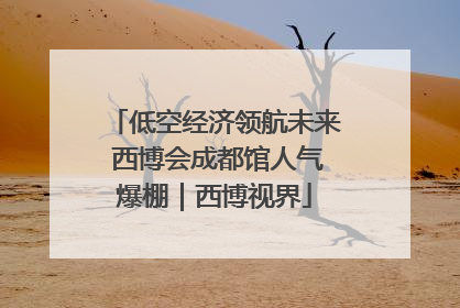 低空经济领航未来 西博会成都馆人气爆棚｜西博视界
