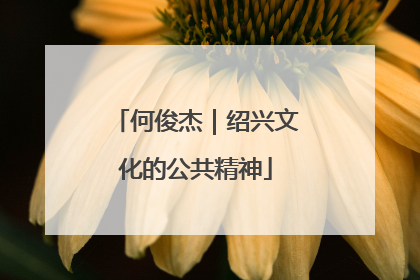 何俊杰｜绍兴文化的公共精神