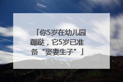你5岁在幼儿园蹦跶，它5岁已准备“娶妻生子”