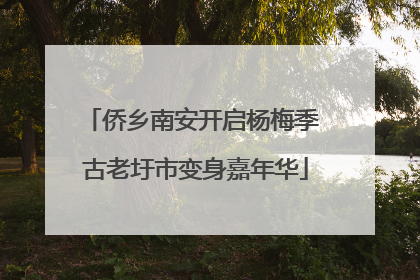侨乡南安开启杨梅季 古老圩市变身嘉年华