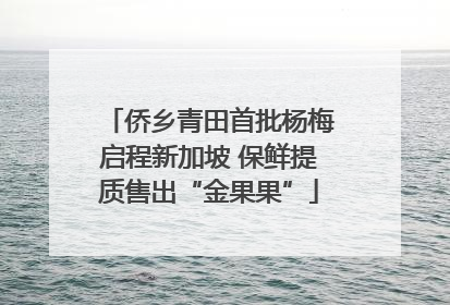 侨乡青田首批杨梅启程新加坡 保鲜提质售出“金果果”
