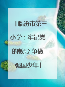 临汾市第三小学：牢记党的教导 争做强国少年