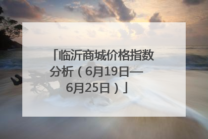 临沂商城价格指数分析（6月19日—6月25日）