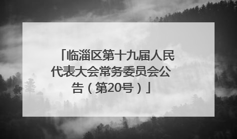 临淄区第十九届人民代表大会常务委员会公告（第20号）