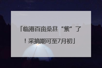 临港百亩桑葚“紫”了！采摘期可至7月初