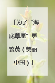 为了“海底草原”更繁茂（美丽中国）