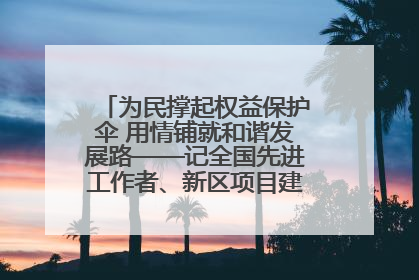 为民撑起权益保护伞 用情铺就和谐发展路——记全国先进工作者、新区项目建设中心干部卢小勇