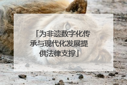 为非遗数字化传承与现代化发展提供法律支撑
