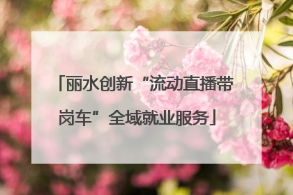 丽水创新“流动直播带岗车”全域就业服务