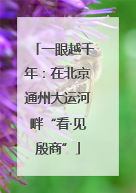 一眼越千年：在北京通州大运河畔“看·见殷商”