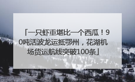 一只虾重堪比一个西瓜！90吨活波龙运抵鄂州，花湖机场货运航线突破100条
