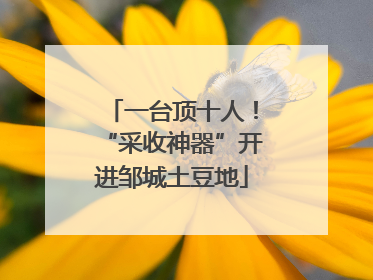 一台顶十人！“采收神器”开进邹城土豆地