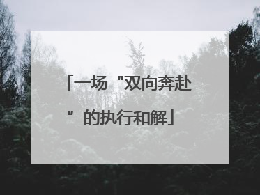 一场“双向奔赴”的执行和解