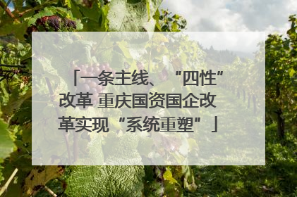 一条主线、“四性”改革 重庆国资国企改革实现“系统重塑”