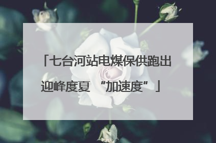 七台河站电煤保供跑出迎峰度夏 “加速度”