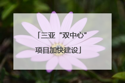 三亚“双中心”项目加快建设