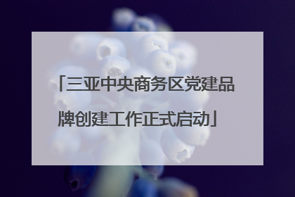 三亚中央商务区党建品牌创建工作正式启动