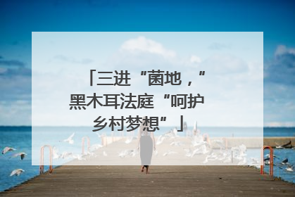 三进“菌地，”黑木耳法庭“呵护乡村梦想”