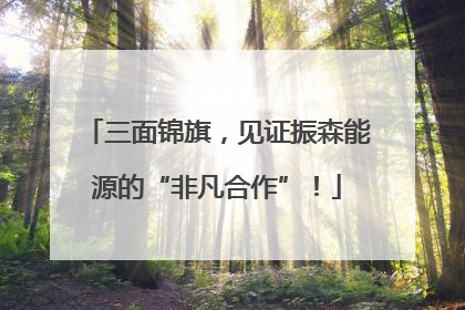 三面锦旗，见证振森能源的“非凡合作”！