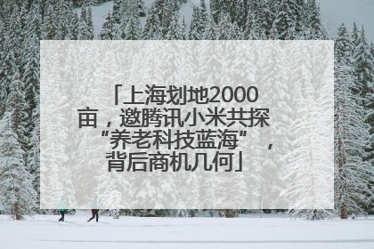 上海划地2000亩，邀腾讯小米共探“养老科技蓝海”，背后商机几何
