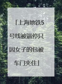 上海地铁5号线被逼停只因女子的包被车门夹住