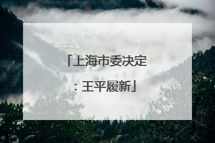 上海市委决定：王平履新