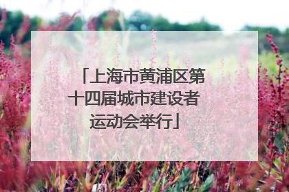 上海市黄浦区第十四届城市建设者运动会举行