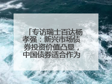 专访瑞士百达杨孝强：新兴市场债券投资价值凸显，中国债券适合作为“稳定器”