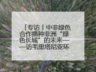 专访丨中非绿色合作播种非洲“绿色长城”的未来——访毛里塔尼亚环境部长拉格达夫