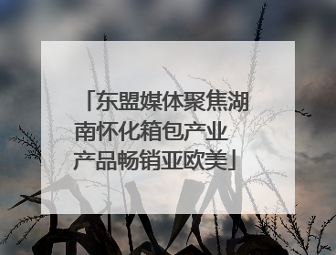 东盟媒体聚焦湖南怀化箱包产业 产品畅销亚欧美