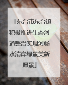 东台市东台镇积极推进生态河道整治实现河畅水清岸绿景美新愿景