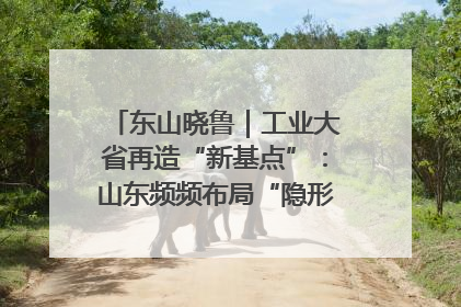 东山晓鲁｜工业大省再造“新基点”：山东频频布局“隐形冠军”背后