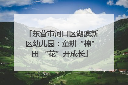 东营市河口区湖滨新区幼儿园：童耕“棉”田 “花”开成长