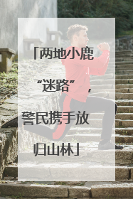 两地小鹿“迷路”，警民携手放归山林