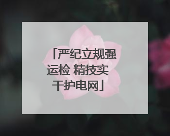 严纪立规强运检 精技实干护电网