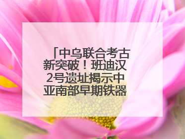 中乌联合考古新突破！班迪汉2号遗址揭示中亚南部早期铁器时代城邦文明