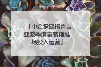 中企承建格鲁吉亚波季港集装箱堆场投入运营