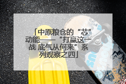 中原粮仓的“芯”动能——“打赢这一战 底气从何来”系列观察之四