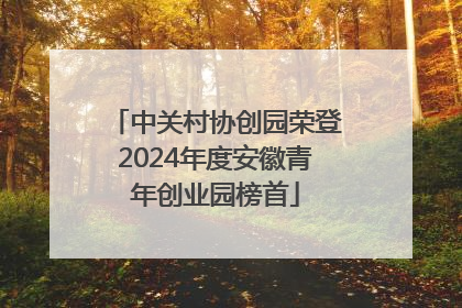 中关村协创园荣登2024年度安徽青年创业园榜首