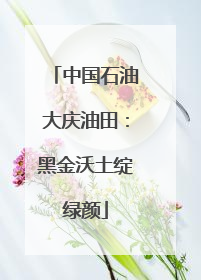 中国石油大庆油田：黑金沃土绽绿颜