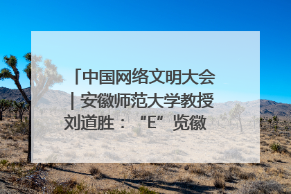 中国网络文明大会｜安徽师范大学教授刘道胜：“E”览徽风，构筑中华民族共有精神家园