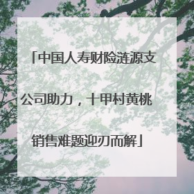 中国人寿财险涟源支公司助力，十甲村黄桃销售难题迎刃而解