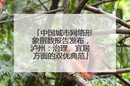 中国城市网络形象指数报告发布，泸州：治理、宜居方面的双优典范