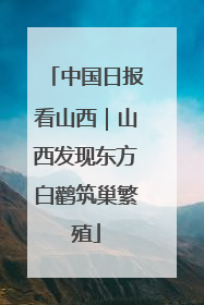 中国日报看山西｜山西发现东方白鹳筑巢繁殖